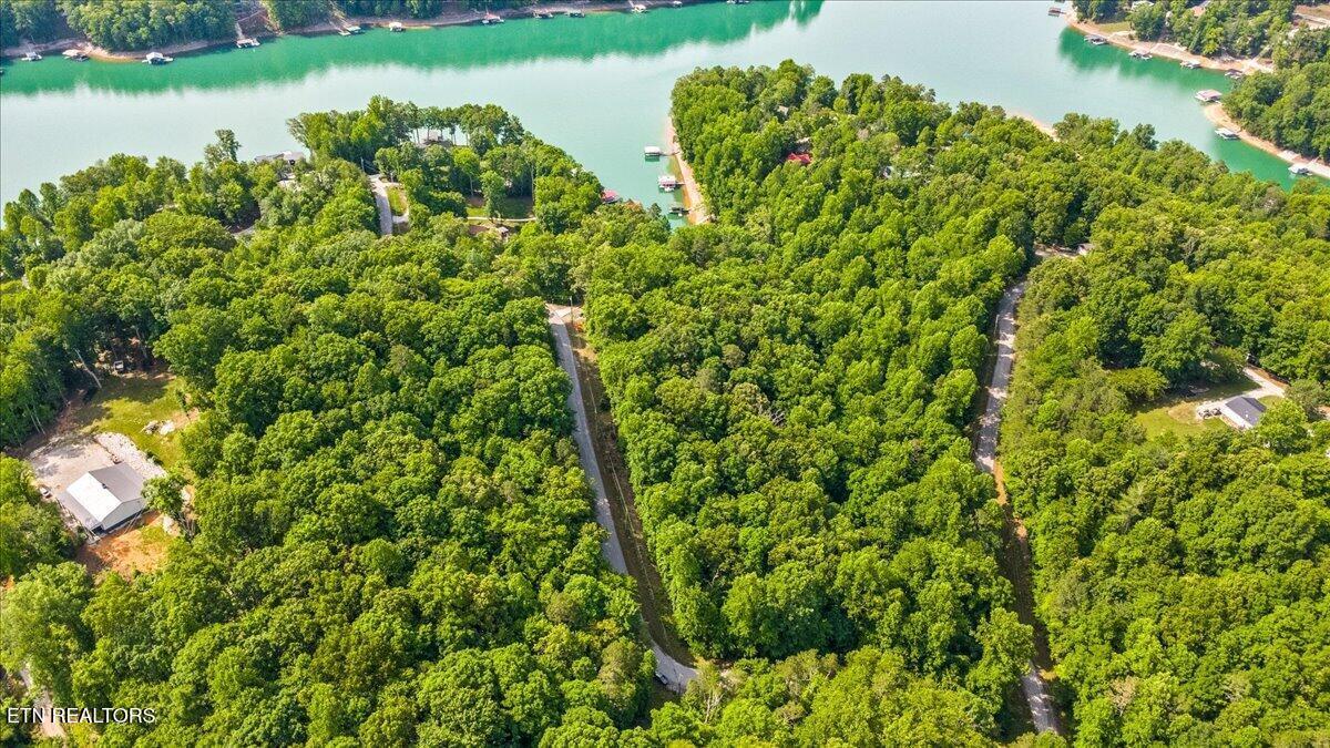 Big Creek Rd, Lafollette, TN - Norris Lake Real Estate - Image# 4