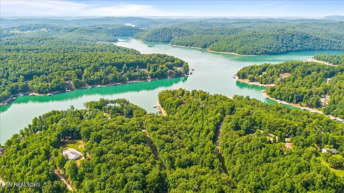 Big Creek Rd, Lafollette, TN - Norris Lake Real Estate - Image# 5