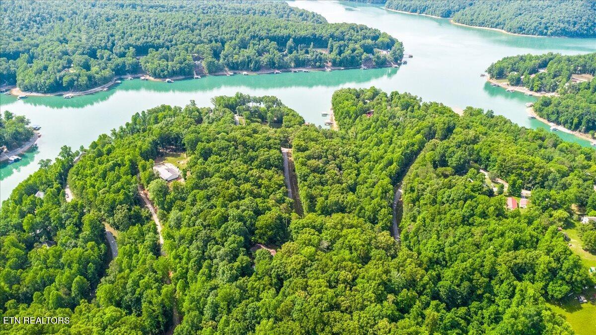Big Creek Rd, Lafollette, TN - Norris Lake Real Estate - Image# 6