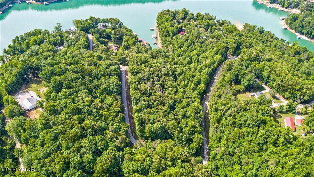 Big Creek Rd, Lafollette, TN - Norris Lake Real Estate - Image# 7