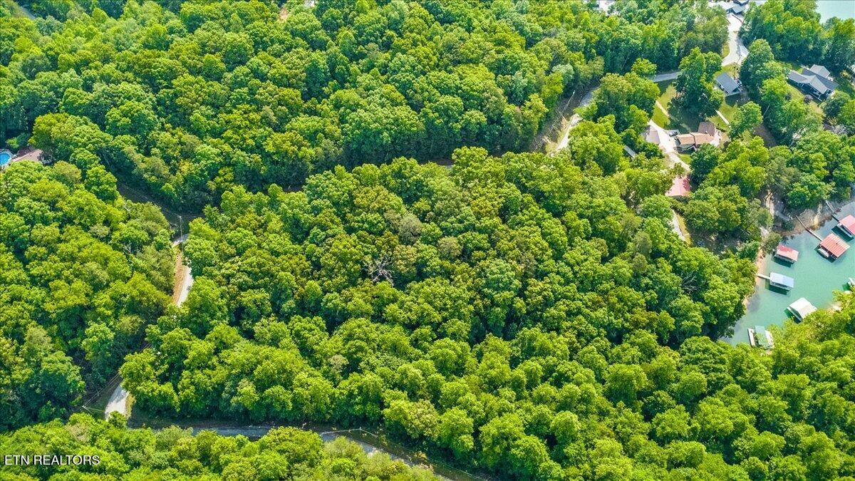 Big Creek Rd, Lafollette, TN - Norris Lake Real Estate - Image# 8