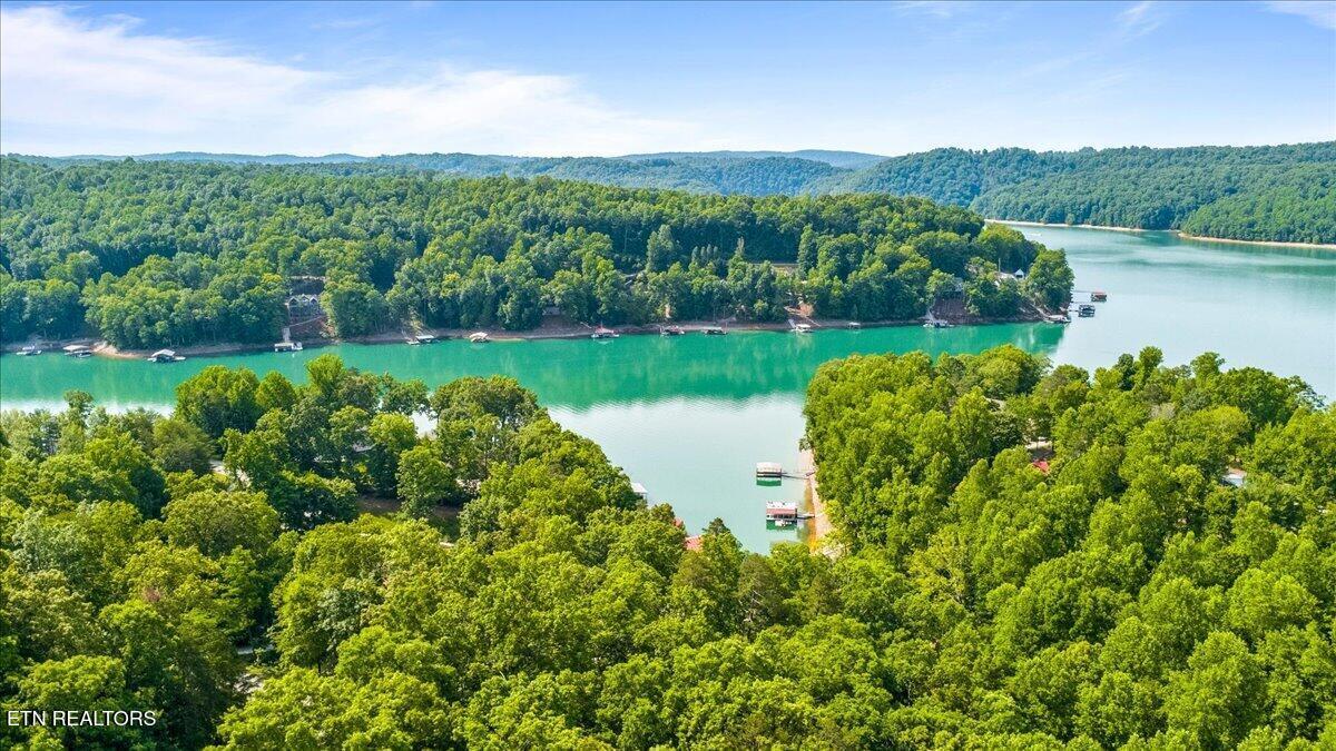 Big Creek Rd, Lafollette, TN - Norris Lake Real Estate - Image# 9