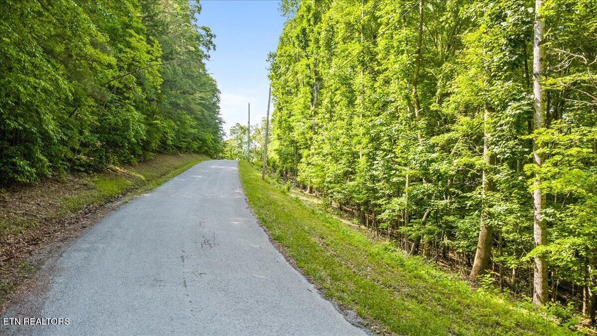 Big Creek Rd, Lafollette, TN - Norris Lake Real Estate - Image# 10