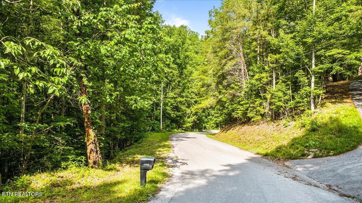 Big Creek Rd, Lafollette, TN - Norris Lake Real Estate - Image# 11