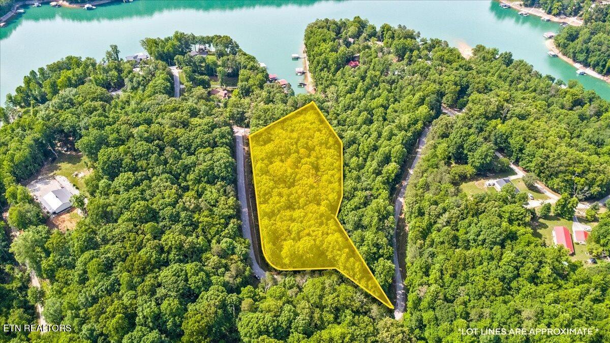 Big Creek Rd, Lafollette, TN - Norris Lake Real Estate - Image# 12