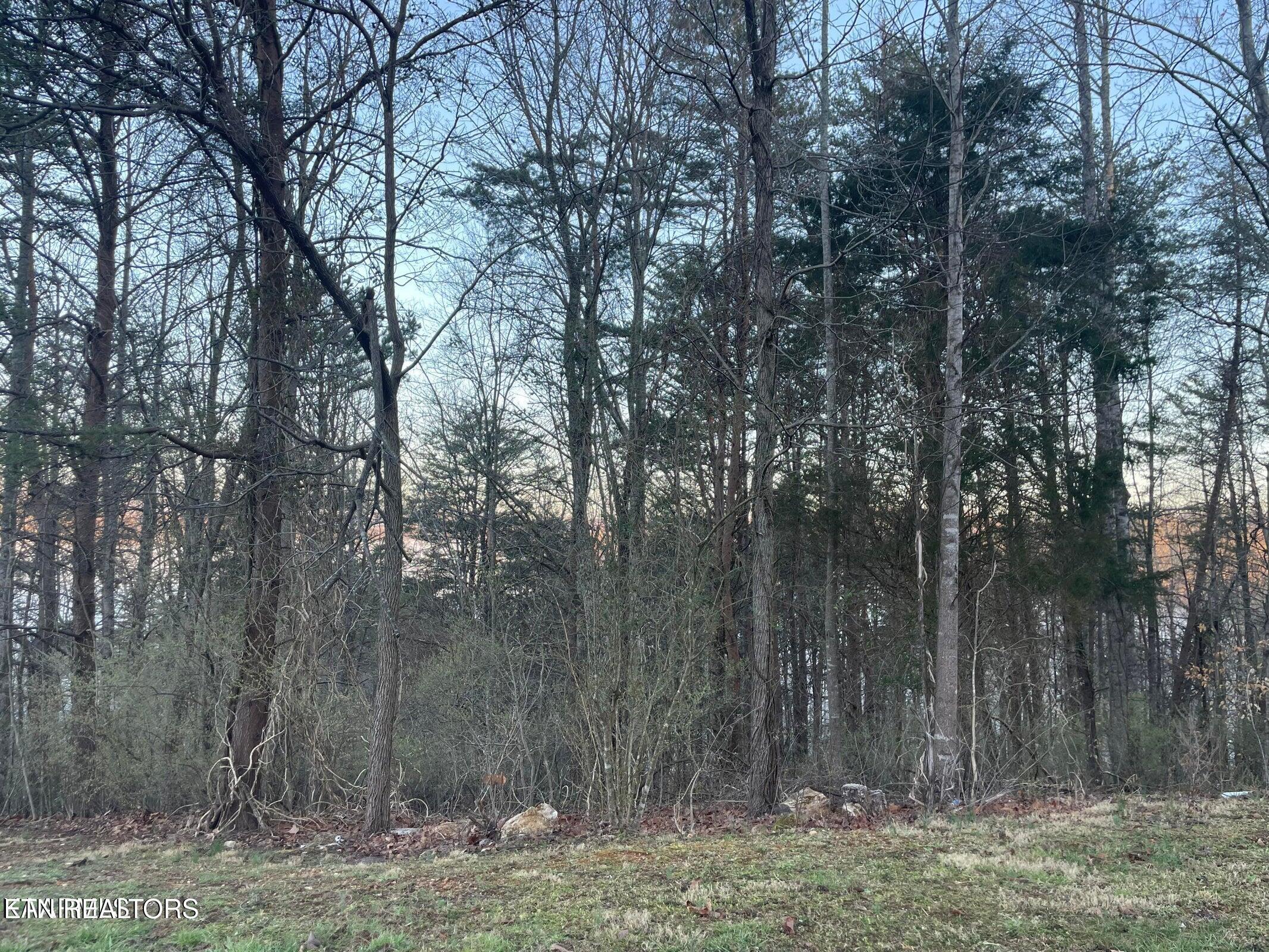 lot 14 Hiwassee Drive, Jacksboro, TN - Norris Lake Real Estate - Image# 1