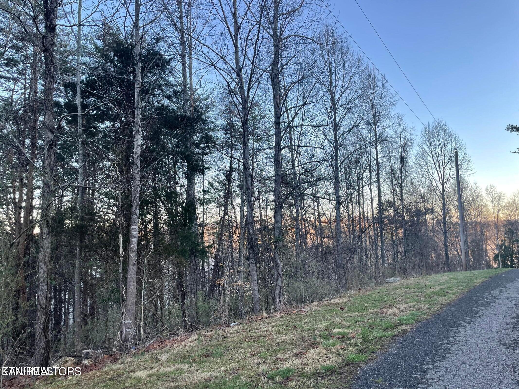 lot 14 Hiwassee Drive, Jacksboro, TN - Norris Lake Real Estate - Image# 2