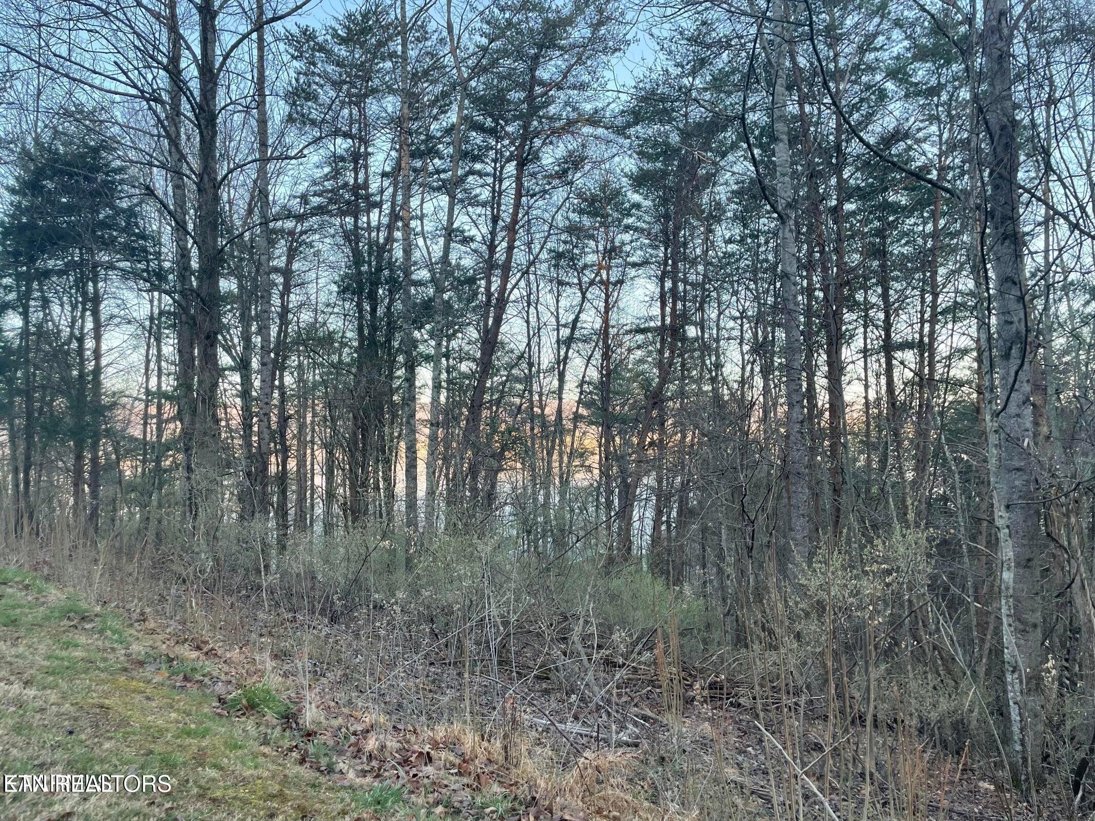 lot 14 Hiwassee Drive, Jacksboro, TN - Norris Lake Real Estate - Image# 4