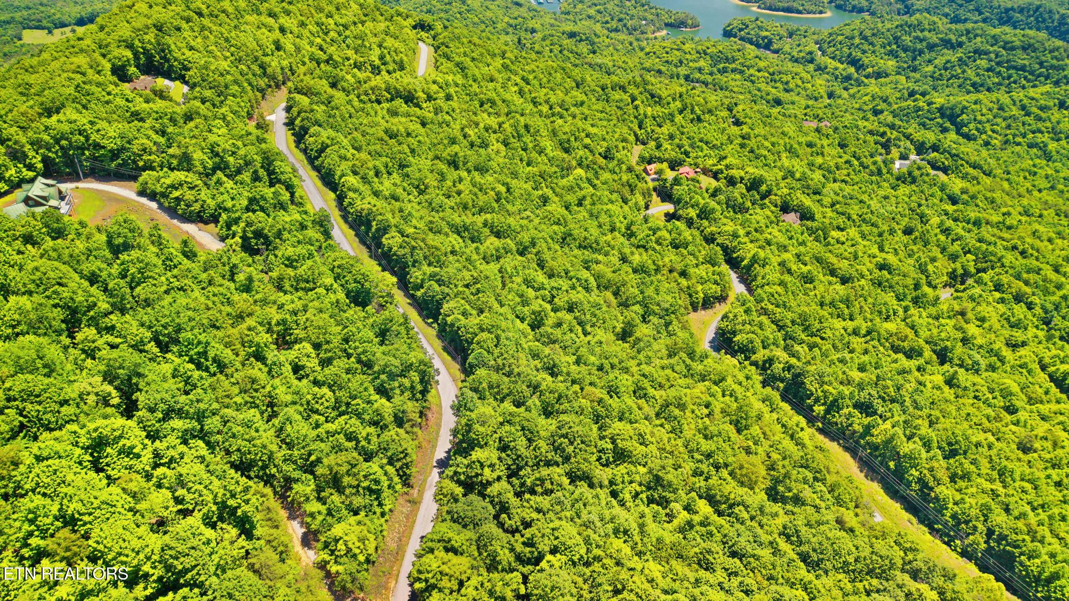 Clinch View Rd, New Tazewell, TN - Norris Lake Real Estate - Image# 12