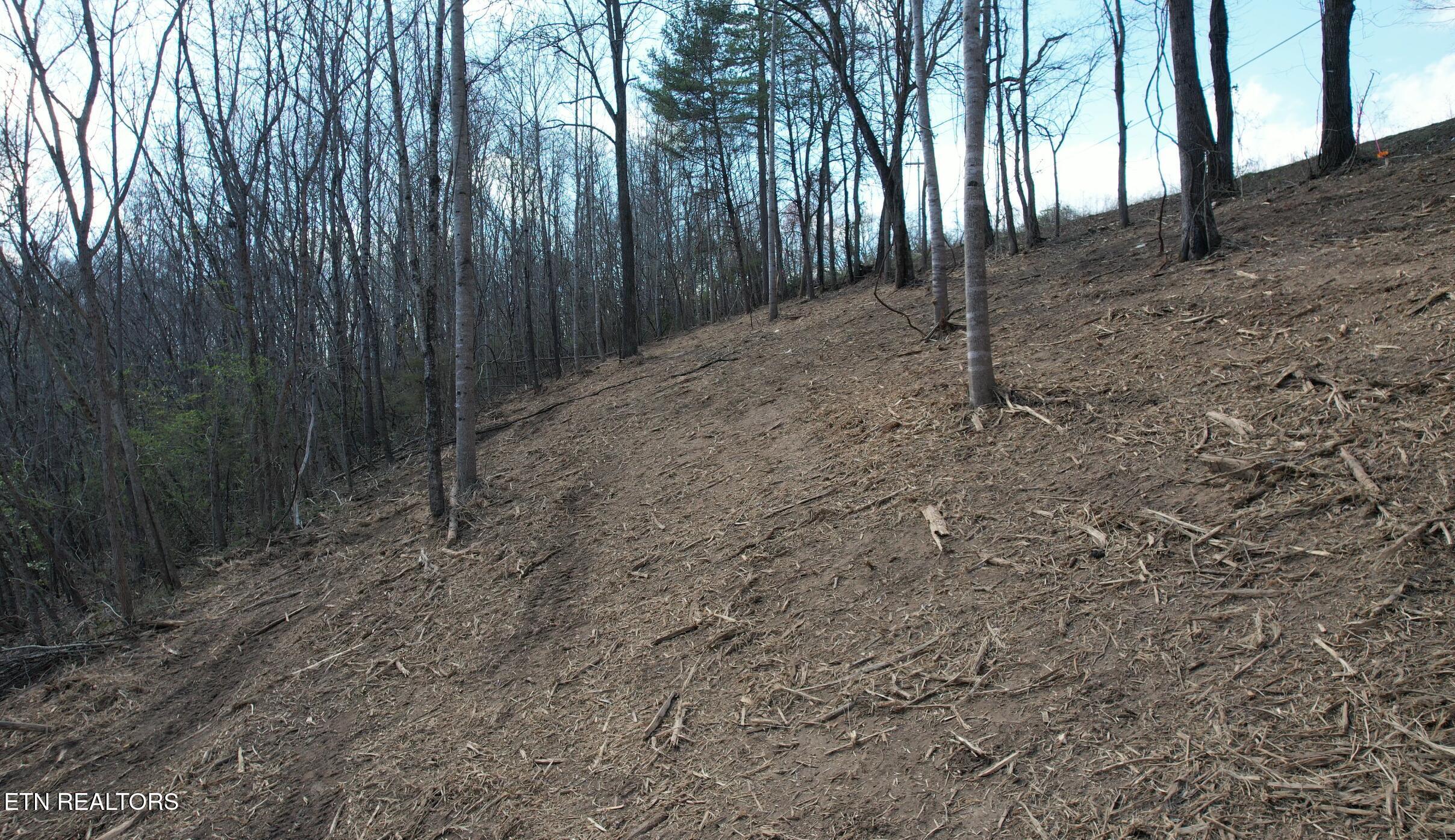 4160 Demory Rd, Lafollette, TN - Norris Lake Real Estate - Image# 11