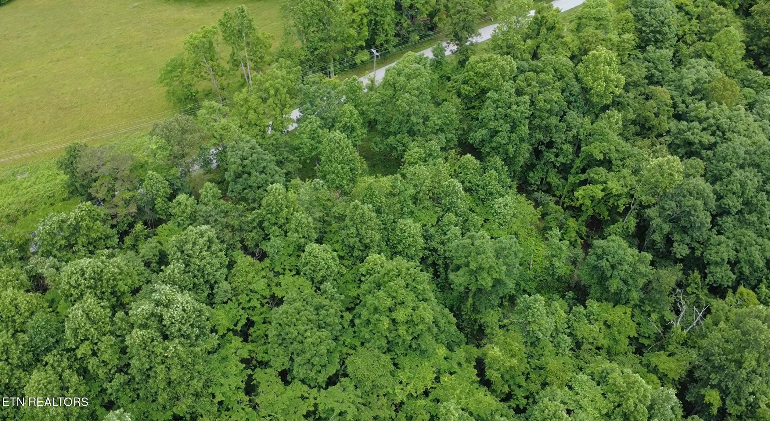 4160 Demory Rd, Lafollette, TN - Norris Lake Real Estate - Image# 24