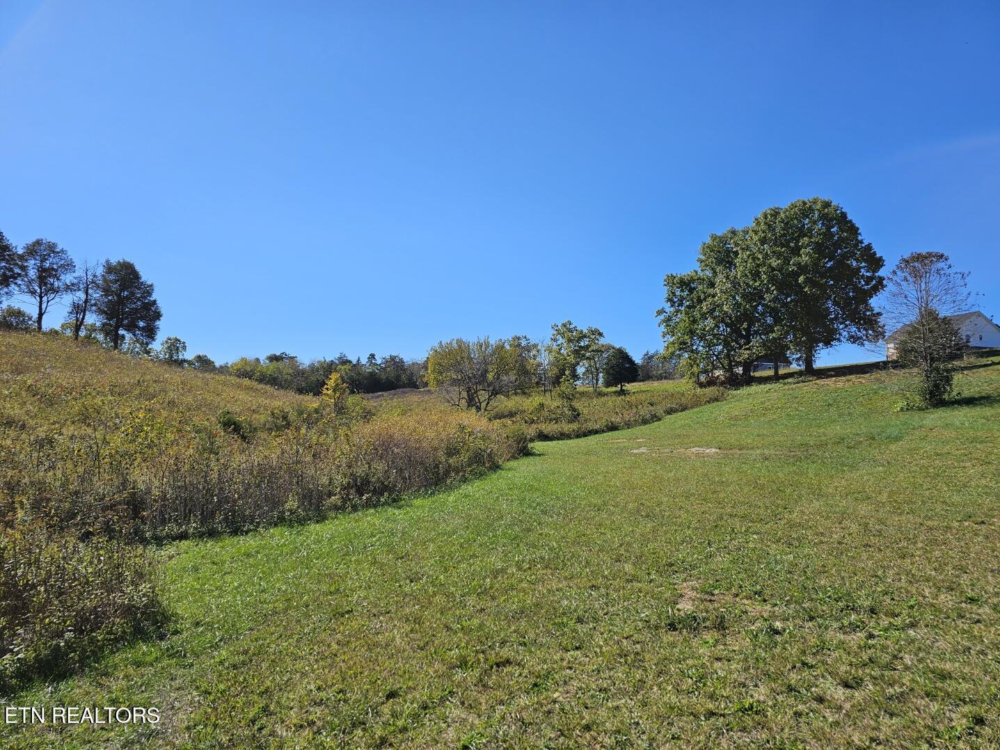 Shoreline Vista, Sharps Chapel, TN - Norris Lake Real Estate - Image# 3