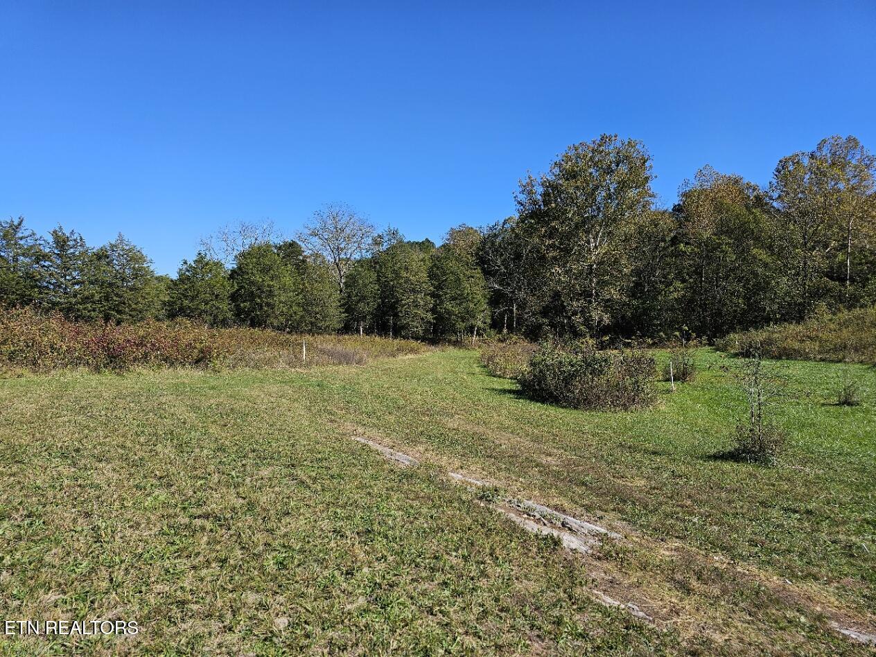 Shoreline Vista, Sharps Chapel, TN - Norris Lake Real Estate - Image# 4