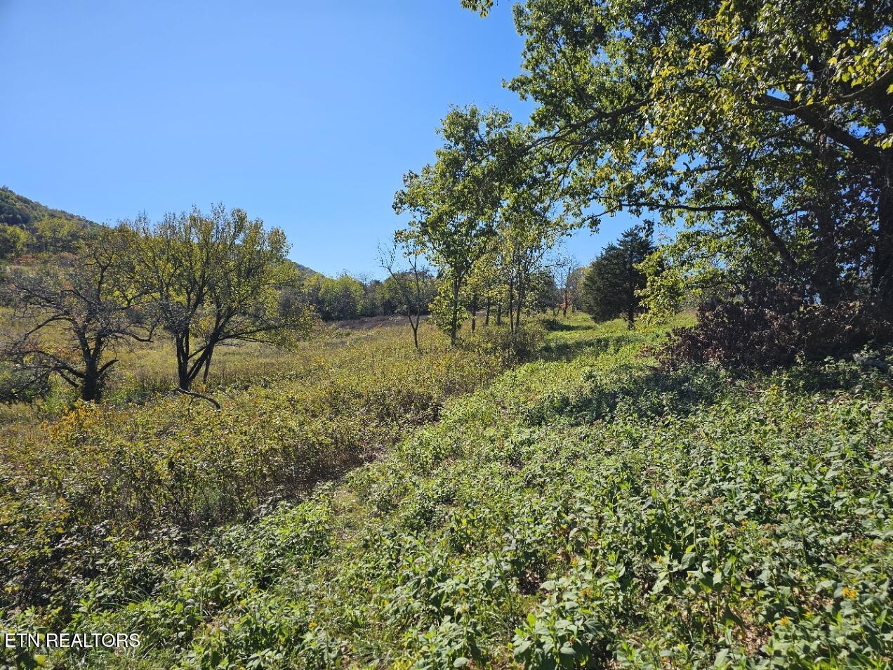 Shoreline Vista, Sharps Chapel, TN - Norris Lake Real Estate - Image# 6