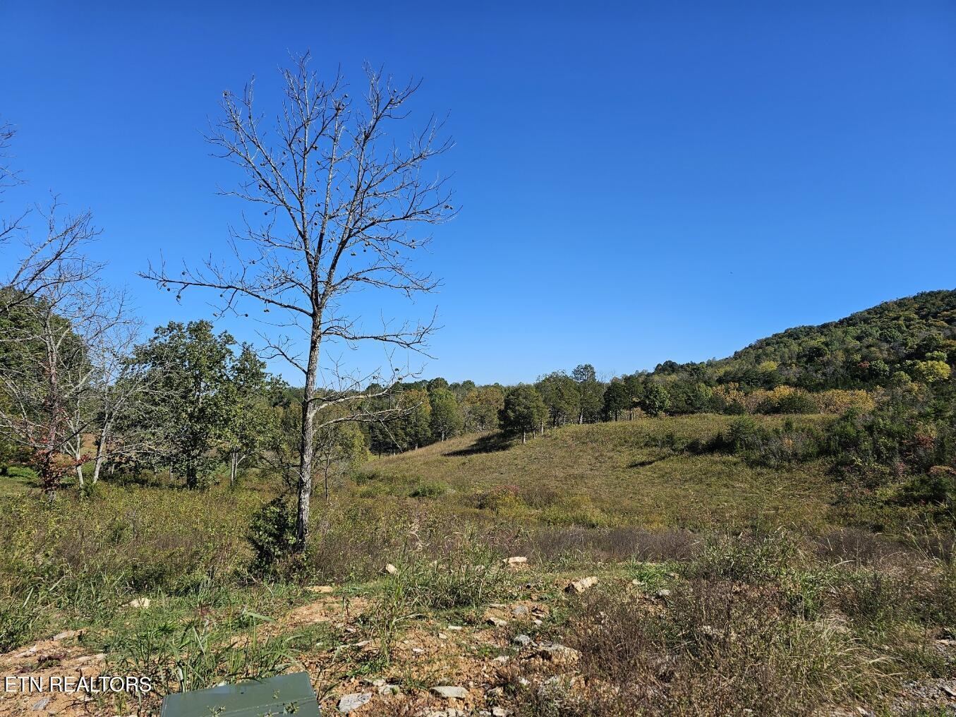 Shoreline Vista, Sharps Chapel, TN - Norris Lake Real Estate - Image# 7