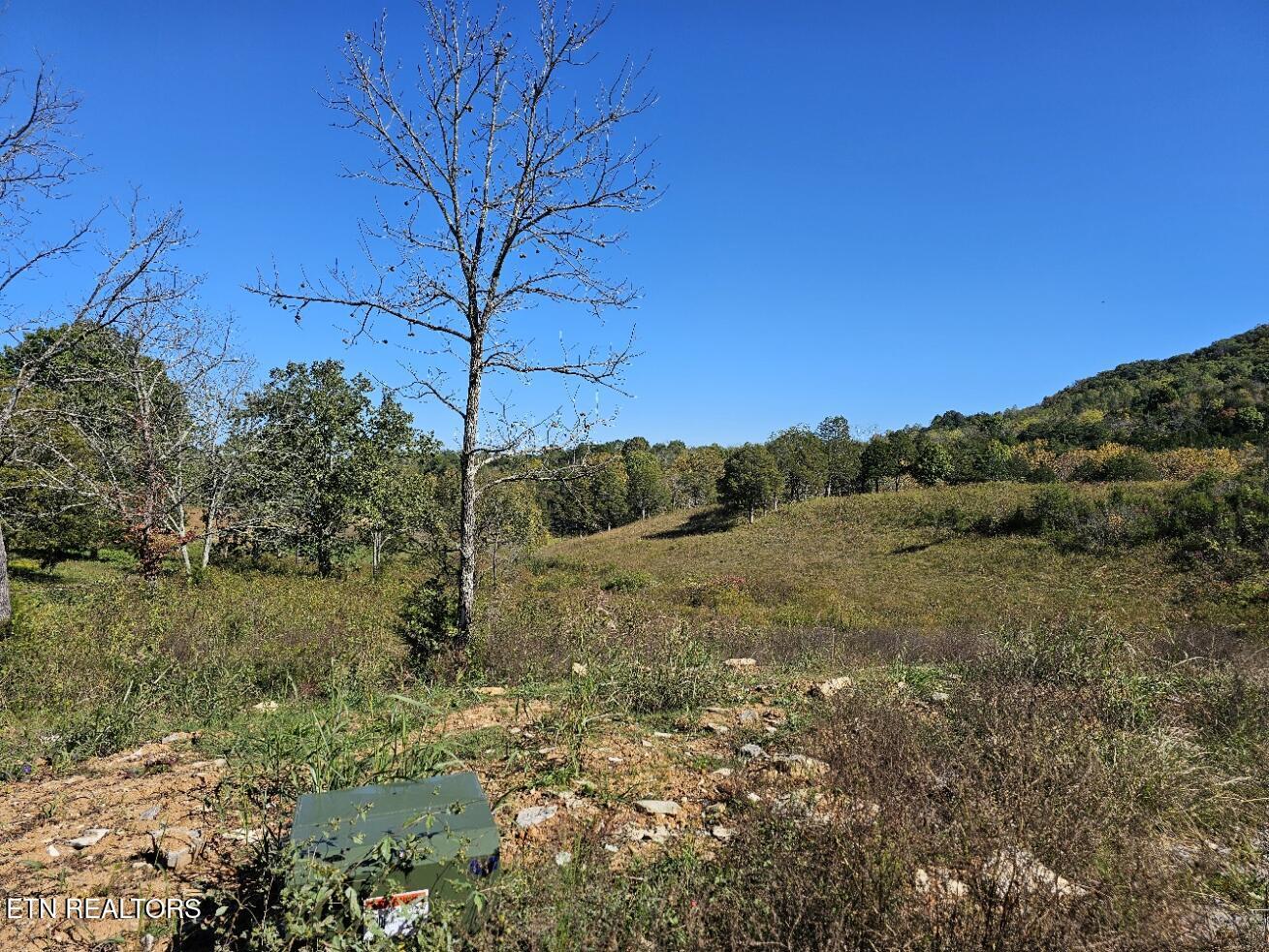 Shoreline Vista, Sharps Chapel, TN - Norris Lake Real Estate - Image# 8