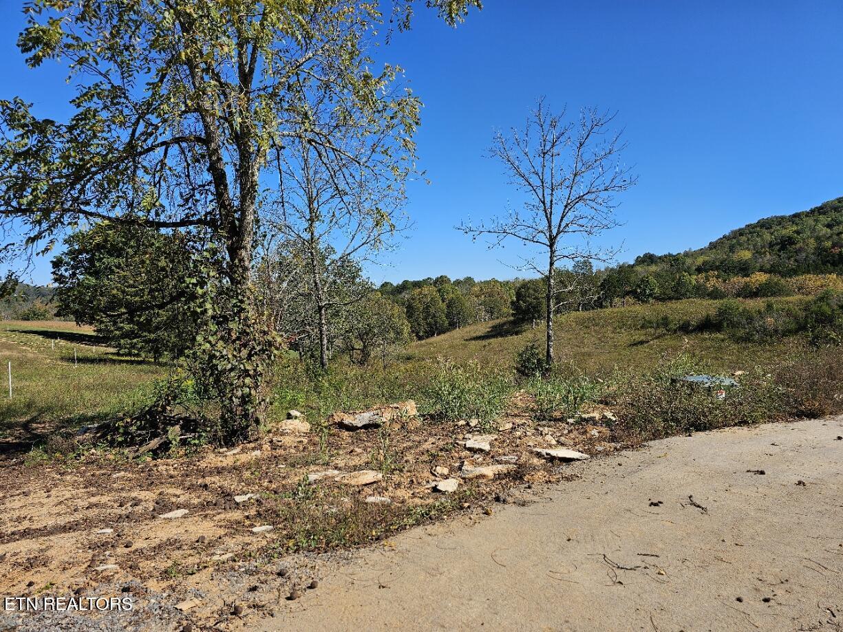 Shoreline Vista, Sharps Chapel, TN - Norris Lake Real Estate - Image# 10