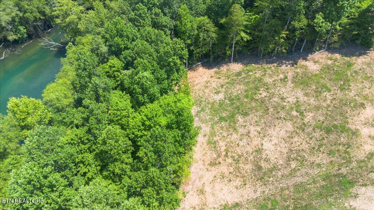 2321 Cove Pointe Rd, Lafollette, TN - Norris Lake Real Estate - Image# 8