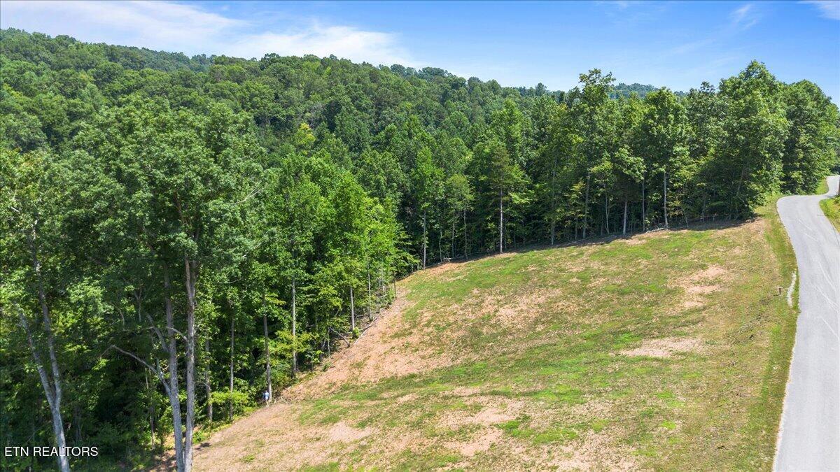 2321 Cove Pointe Rd, Lafollette, TN - Norris Lake Real Estate - Image# 3