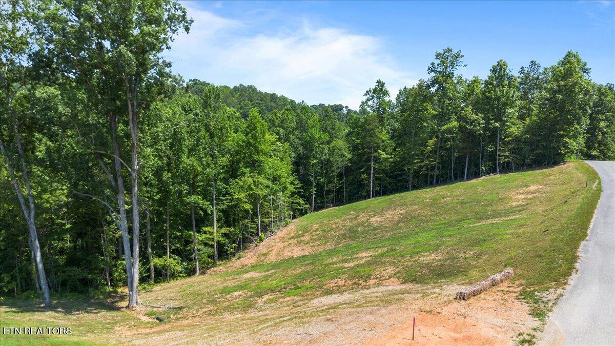 2321 Cove Pointe Rd, Lafollette, TN - Norris Lake Real Estate - Image# 10