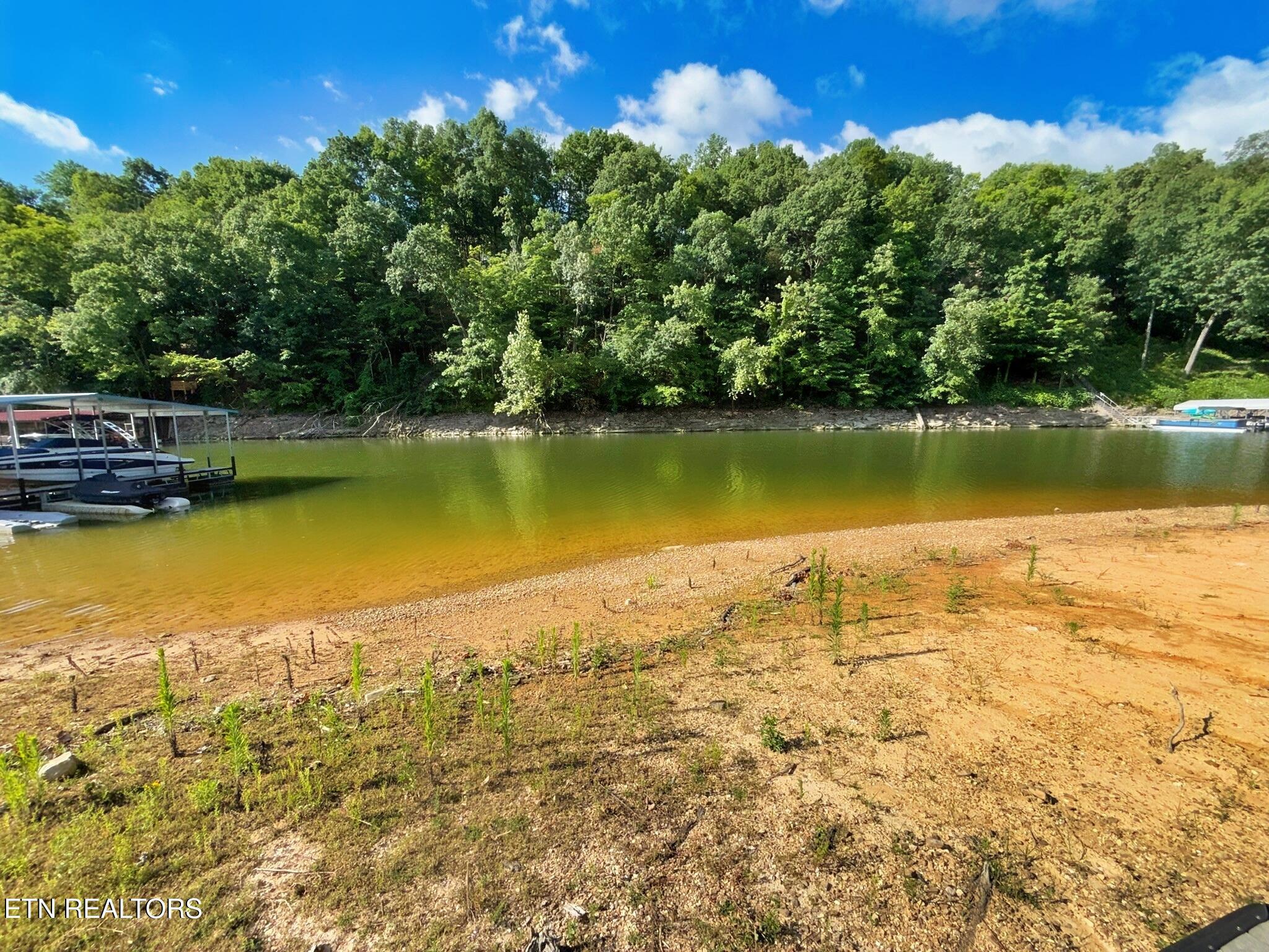 Norris Lake Real Estate - Image# 46