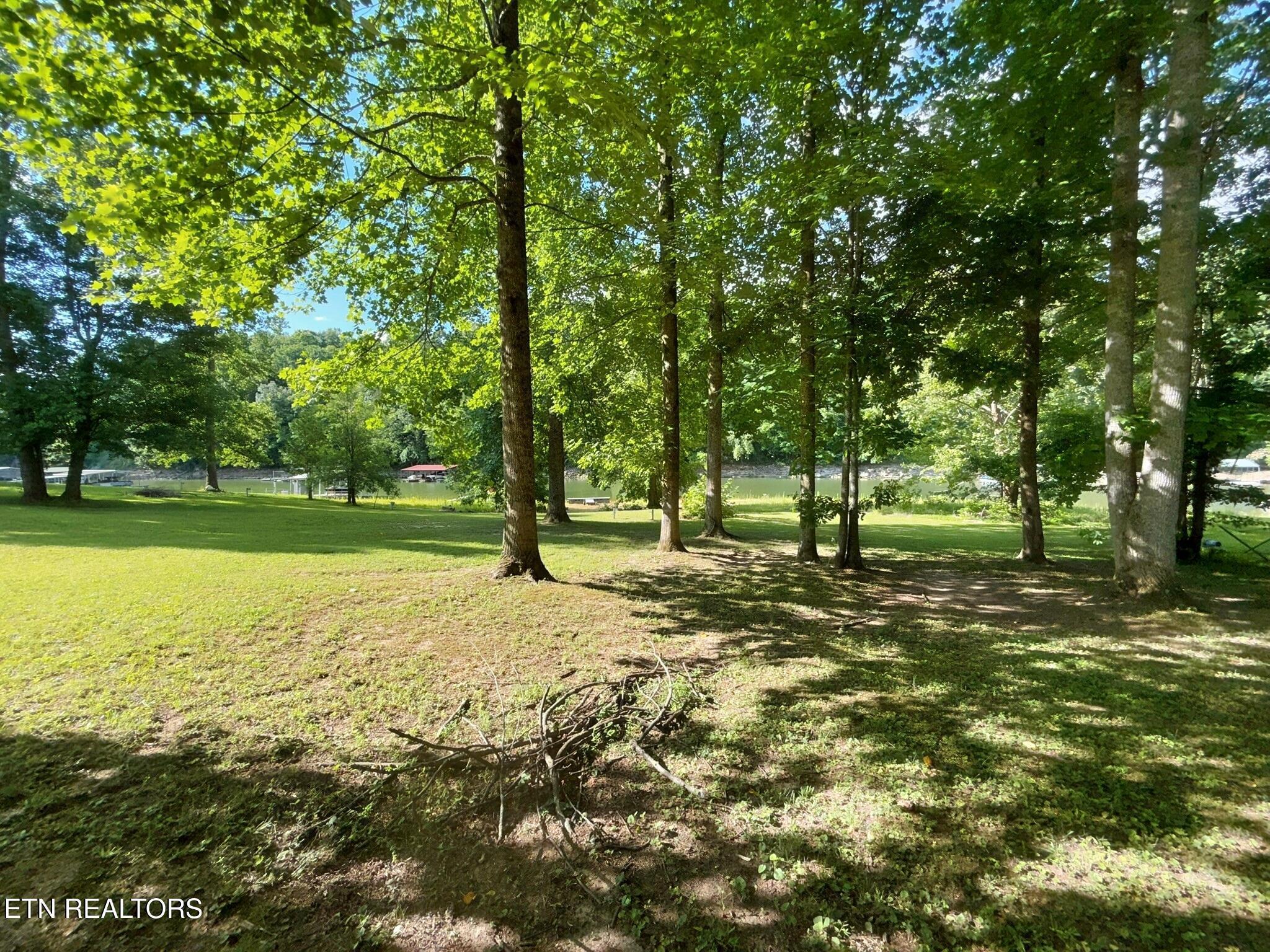 Norris Lake Real Estate - Image# 43