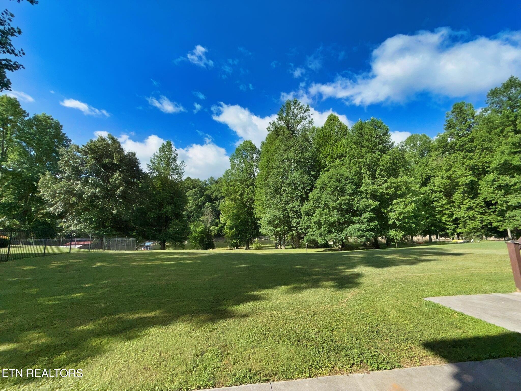 Norris Lake Real Estate - Image# 42