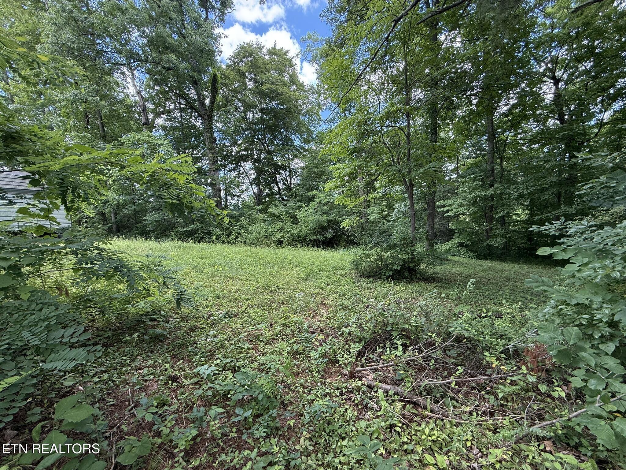 Shoreline Circle, Lafollette, TN - Norris Lake Real Estate - Image# 1