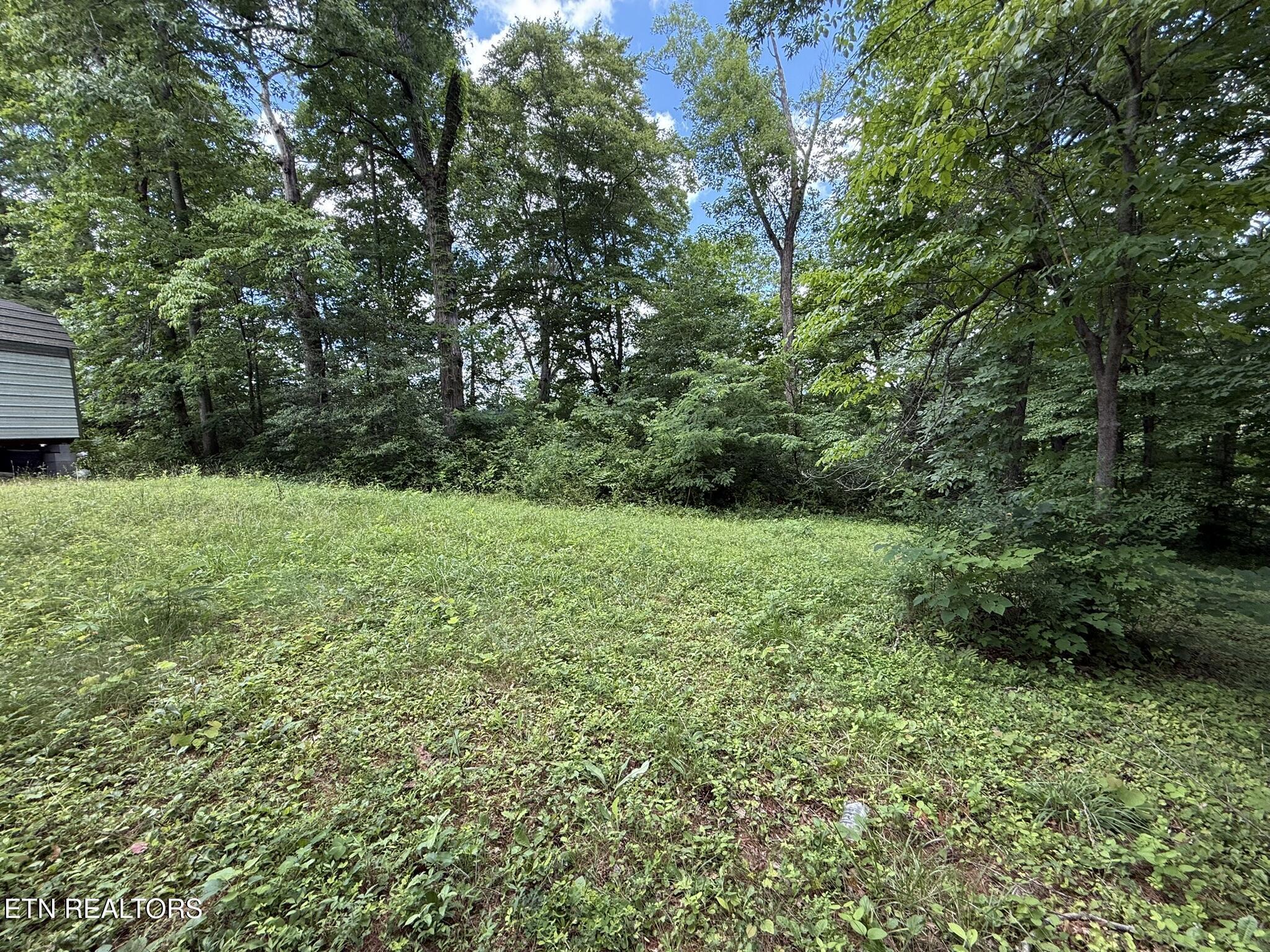 Shoreline Circle, Lafollette, TN - Norris Lake Real Estate - Image# 2