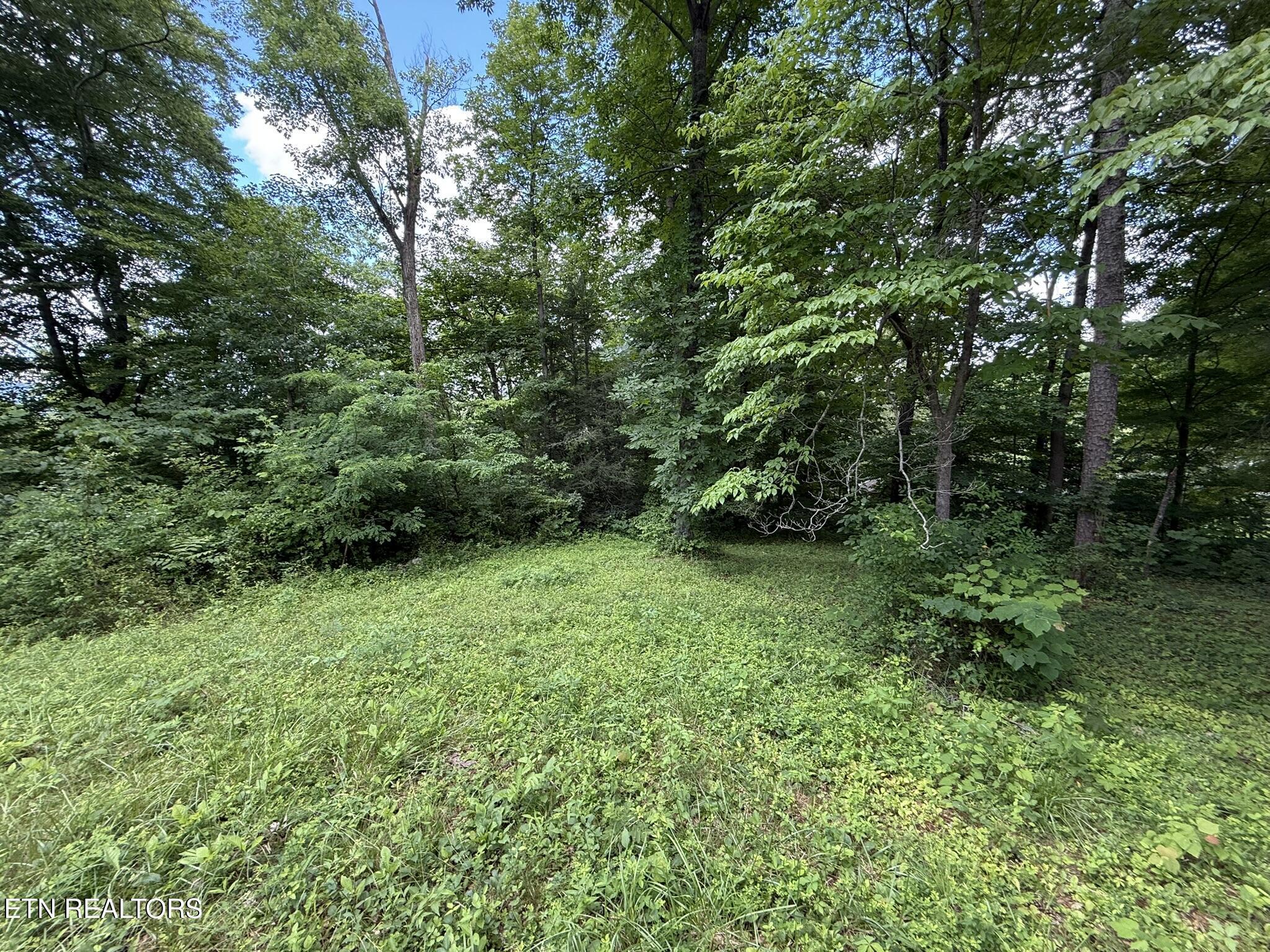 Shoreline Circle, Lafollette, TN - Norris Lake Real Estate - Image# 4