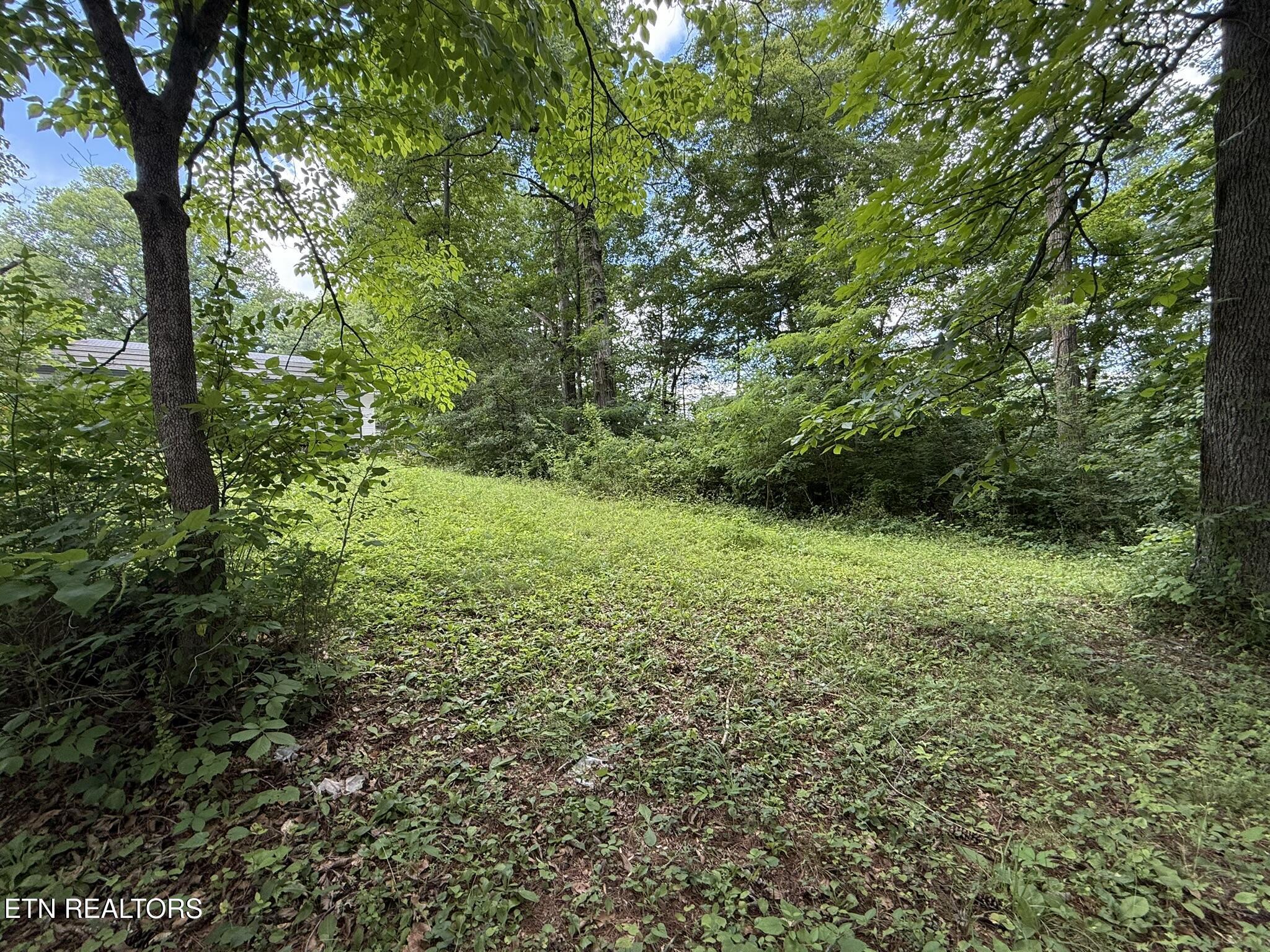 Shoreline Circle, Lafollette, TN - Norris Lake Real Estate - Image# 7