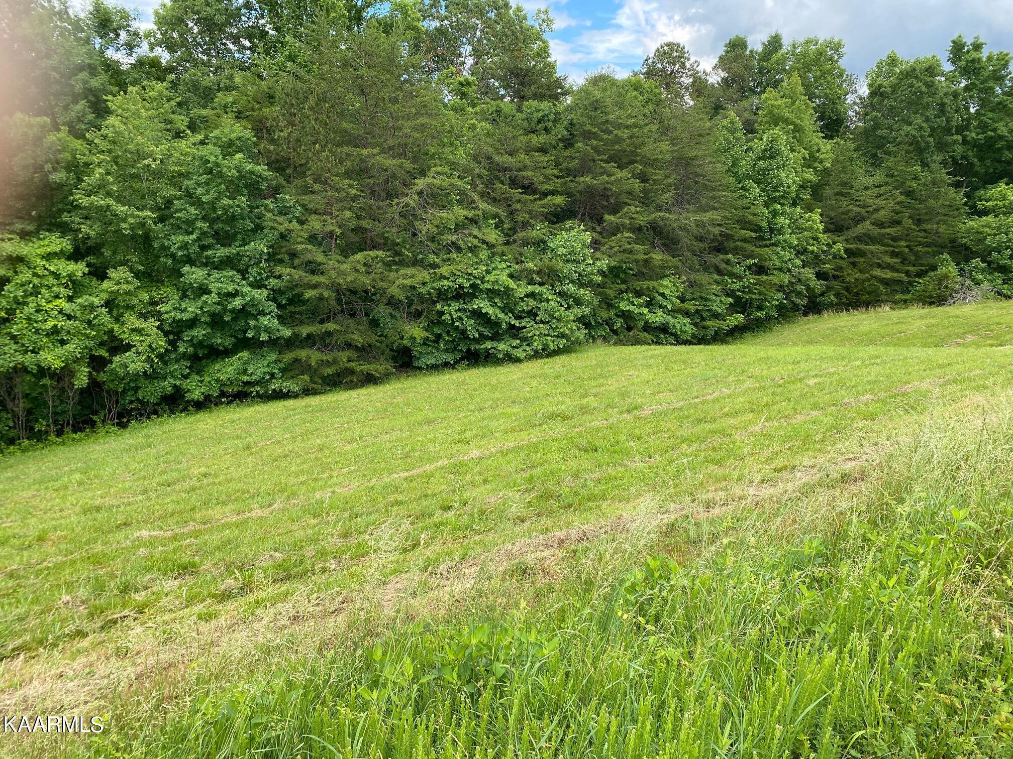 Lot 257 Marble Point Way, New Tazewell, TN - Norris Lake Real Estate - Image# 3