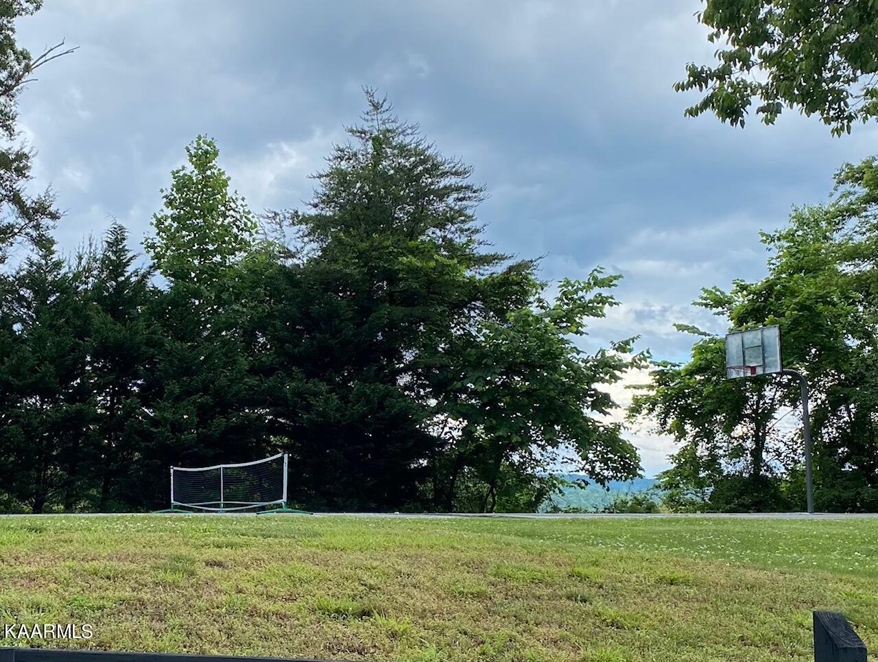 Lot 257 Marble Point Way, New Tazewell, TN - Norris Lake Real Estate - Image# 7