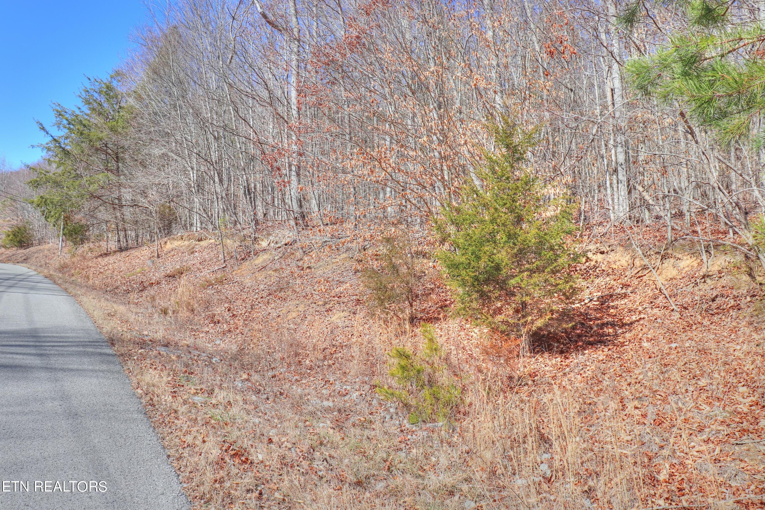Lot 139 Whistle Valley Rd, New Tazewell, TN - Norris Lake Real Estate - Image# 5