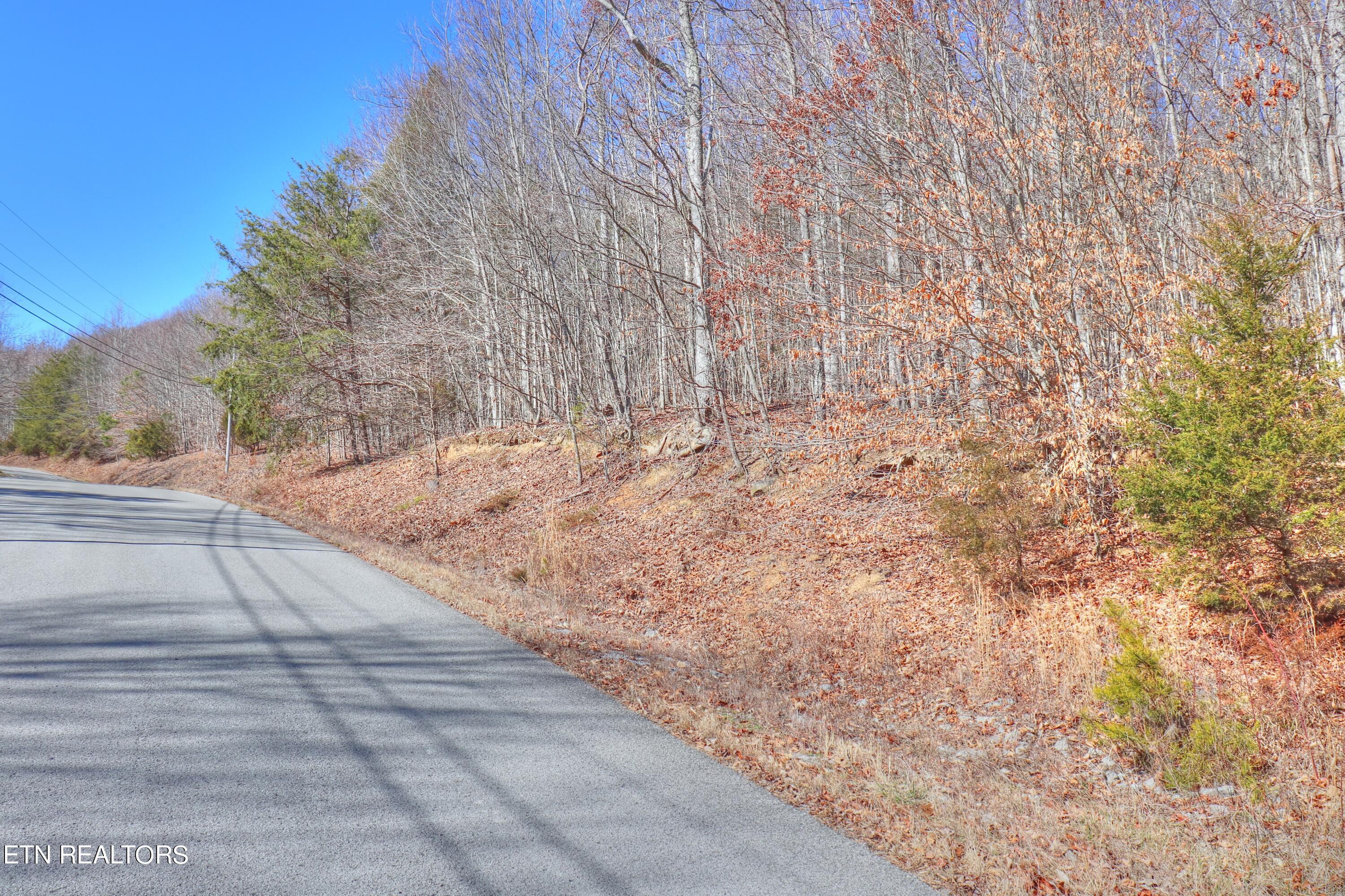 Lot 139 Whistle Valley Rd, New Tazewell, TN - Norris Lake Real Estate - Image# 29