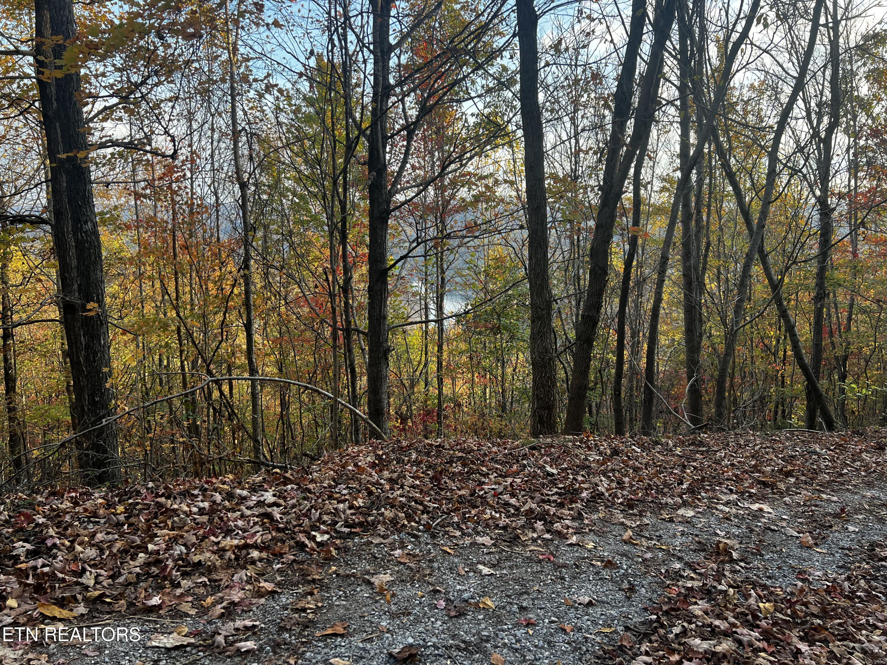 Lot 675 Chimney Rock Road, New Tazewell, TN - Norris Lake Real Estate - Image# 25