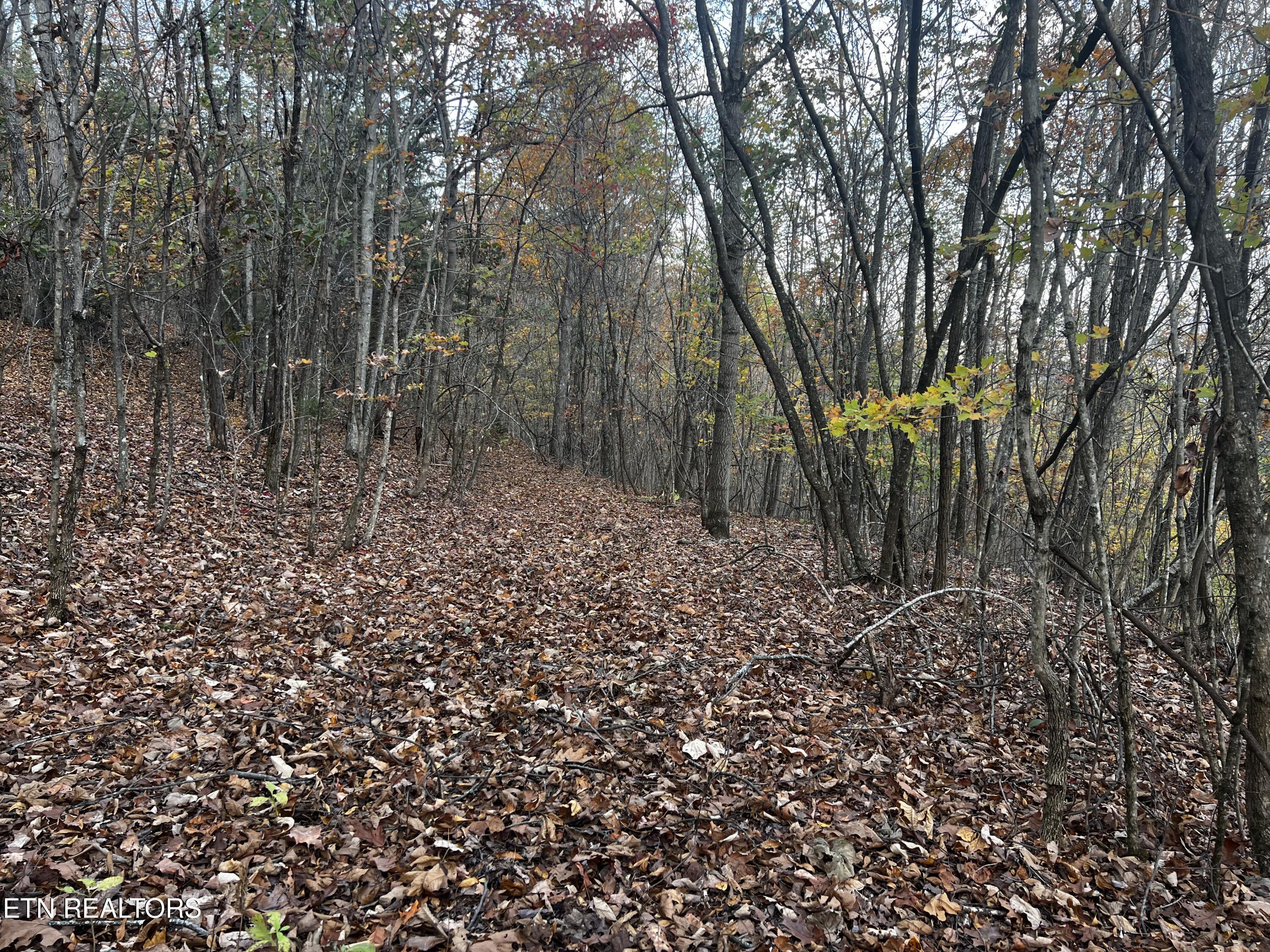 Lot 675 Chimney Rock Road, New Tazewell, TN - Norris Lake Real Estate - Image# 5