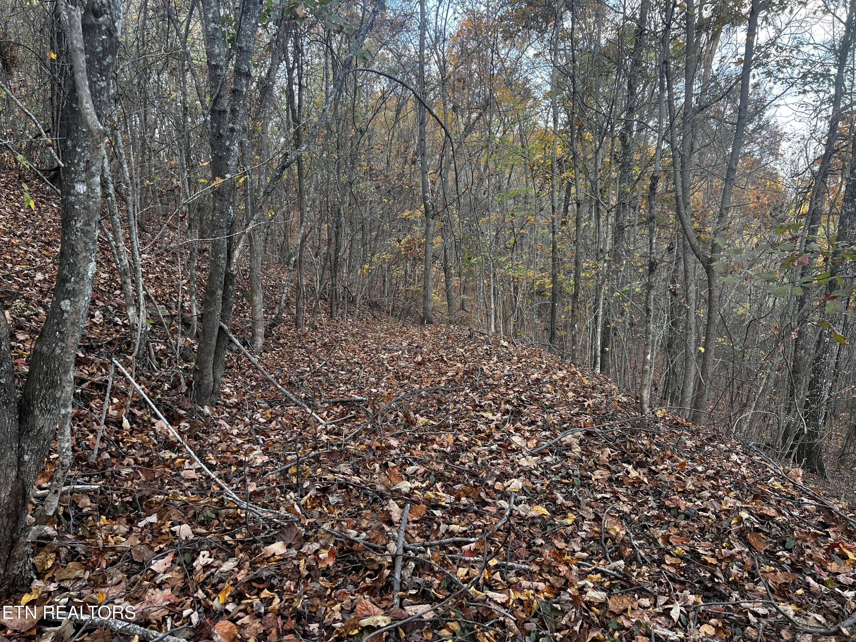 Lot 675 Chimney Rock Road, New Tazewell, TN - Norris Lake Real Estate - Image# 12