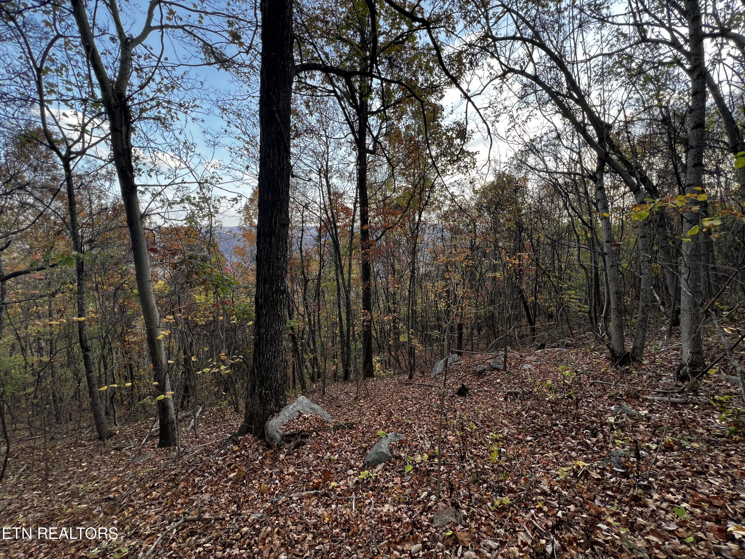 Lot 675 Chimney Rock Road, New Tazewell, TN - Norris Lake Real Estate - Image# 2
