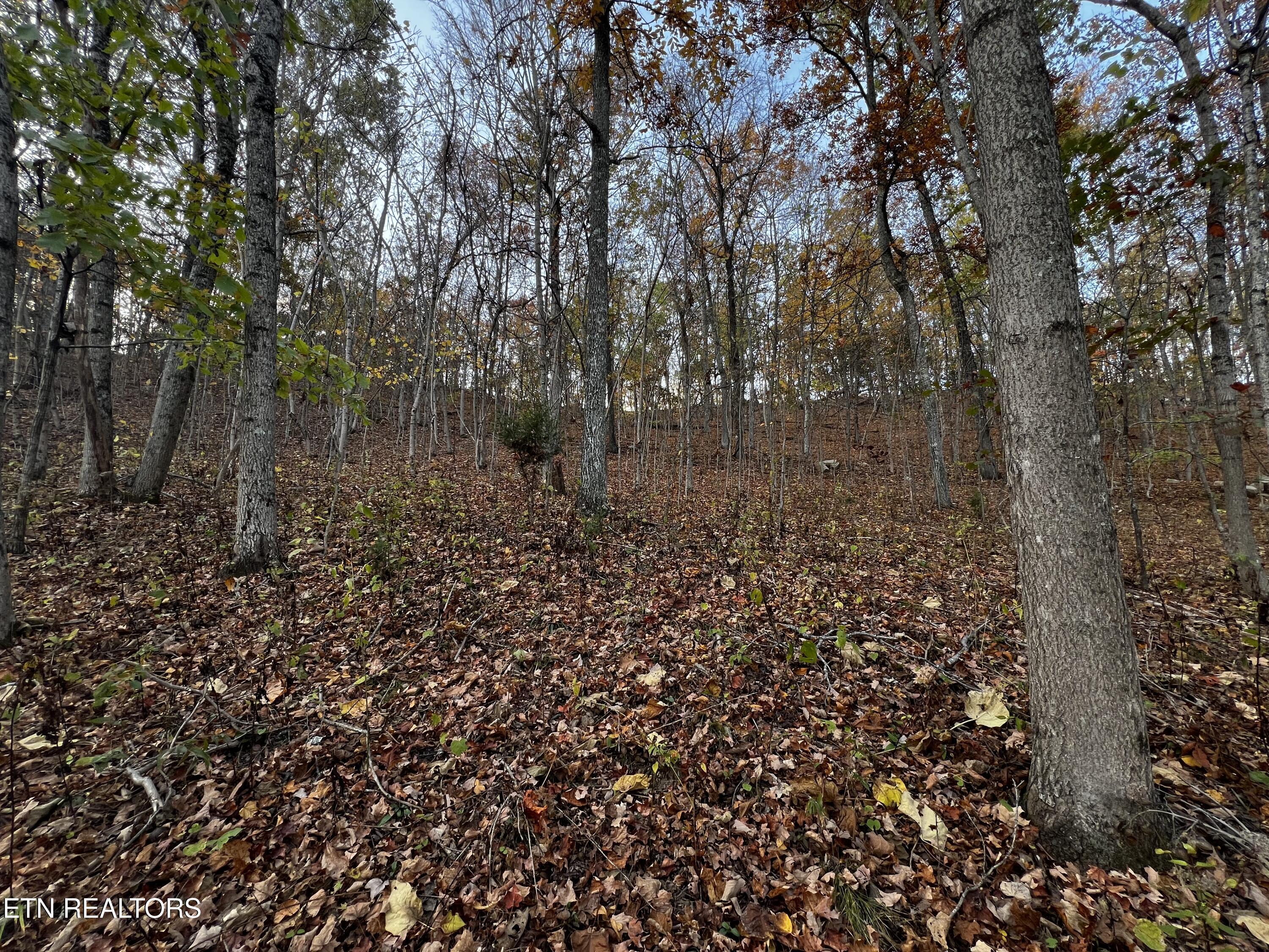 Lot 675 Chimney Rock Road, New Tazewell, TN - Norris Lake Real Estate - Image# 10