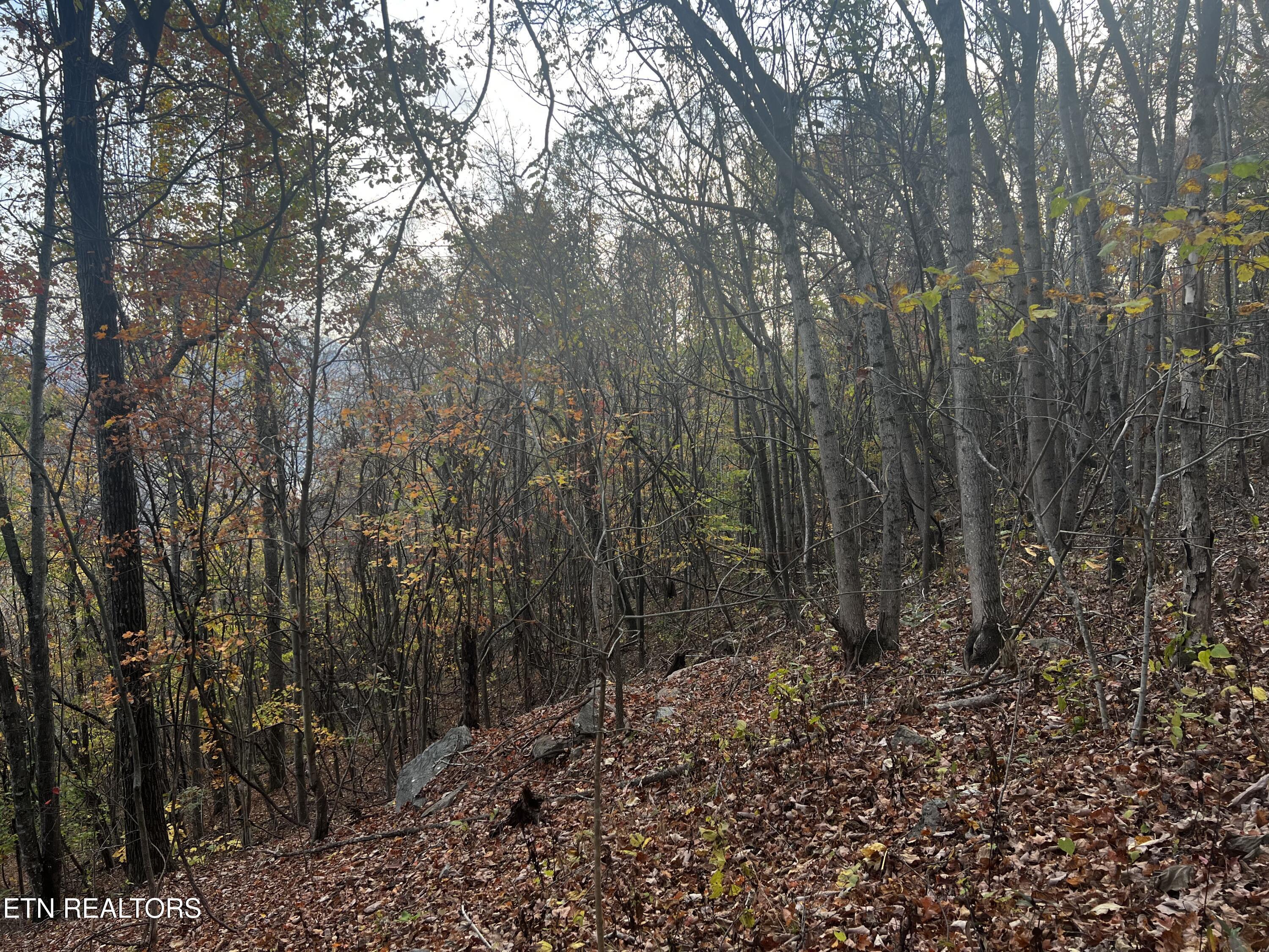 Lot 675 Chimney Rock Road, New Tazewell, TN - Norris Lake Real Estate - Image# 9