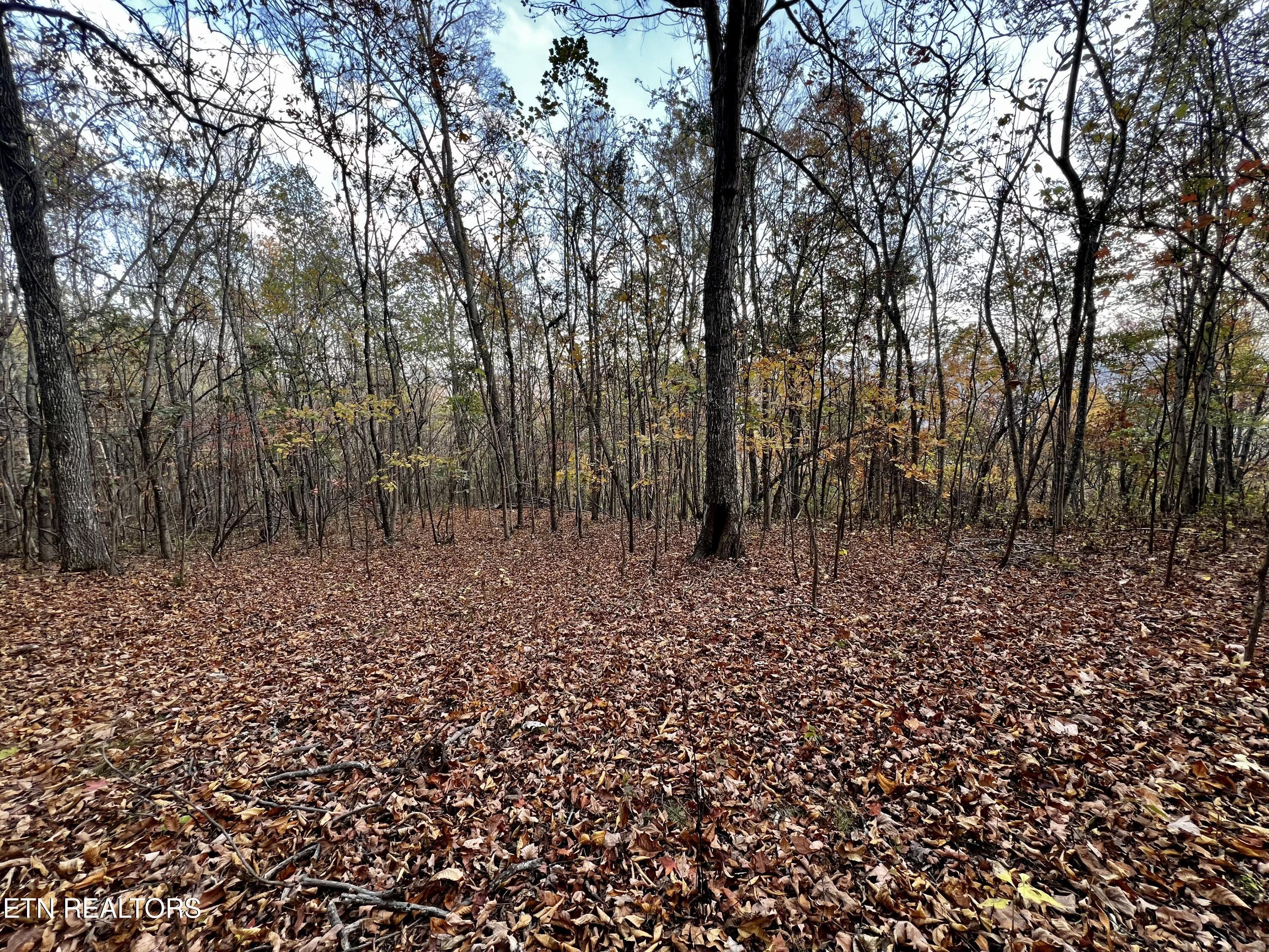 Lot 675 Chimney Rock Road, New Tazewell, TN - Norris Lake Real Estate - Image# 6