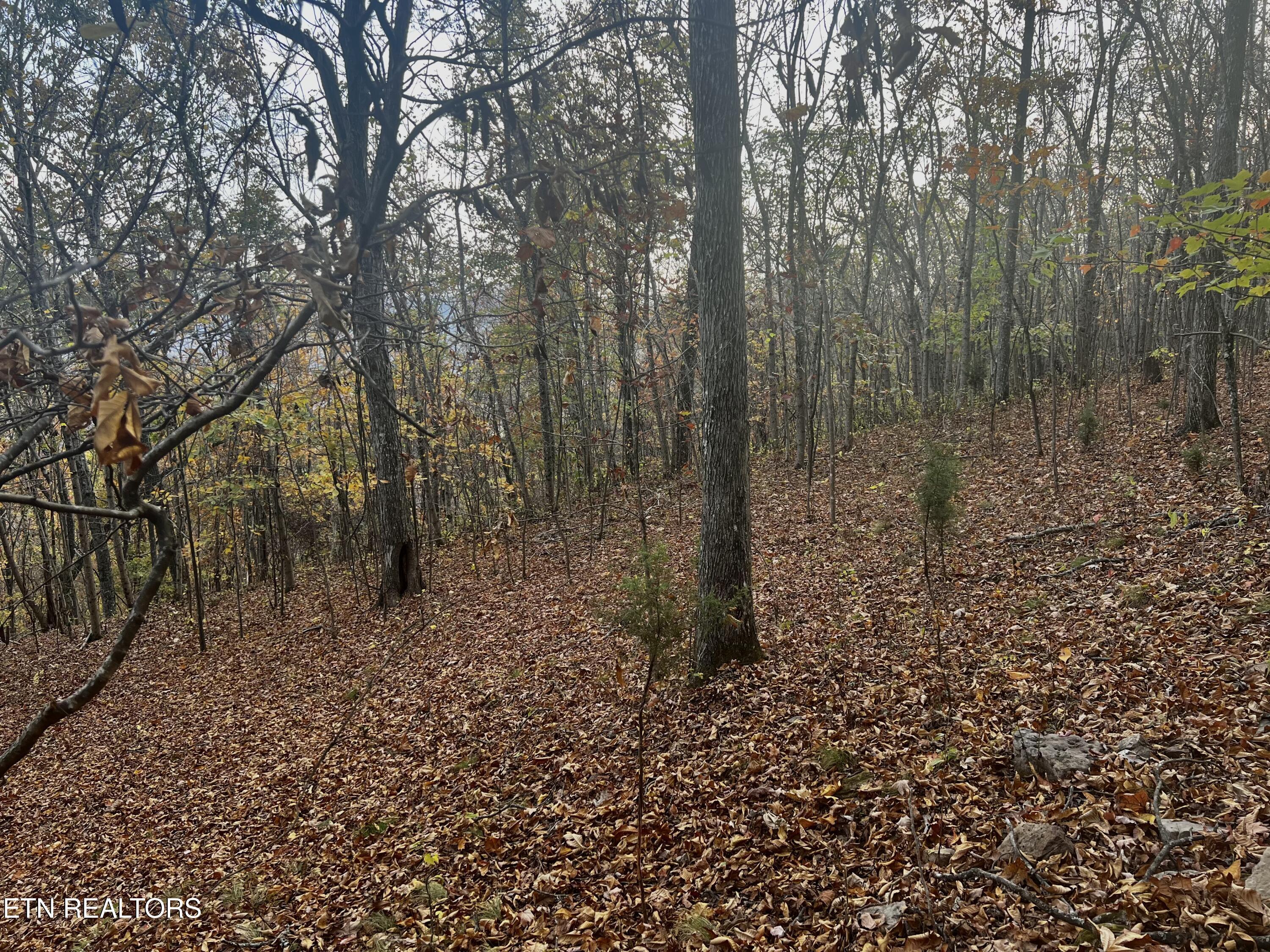 Lot 675 Chimney Rock Road, New Tazewell, TN - Norris Lake Real Estate - Image# 15