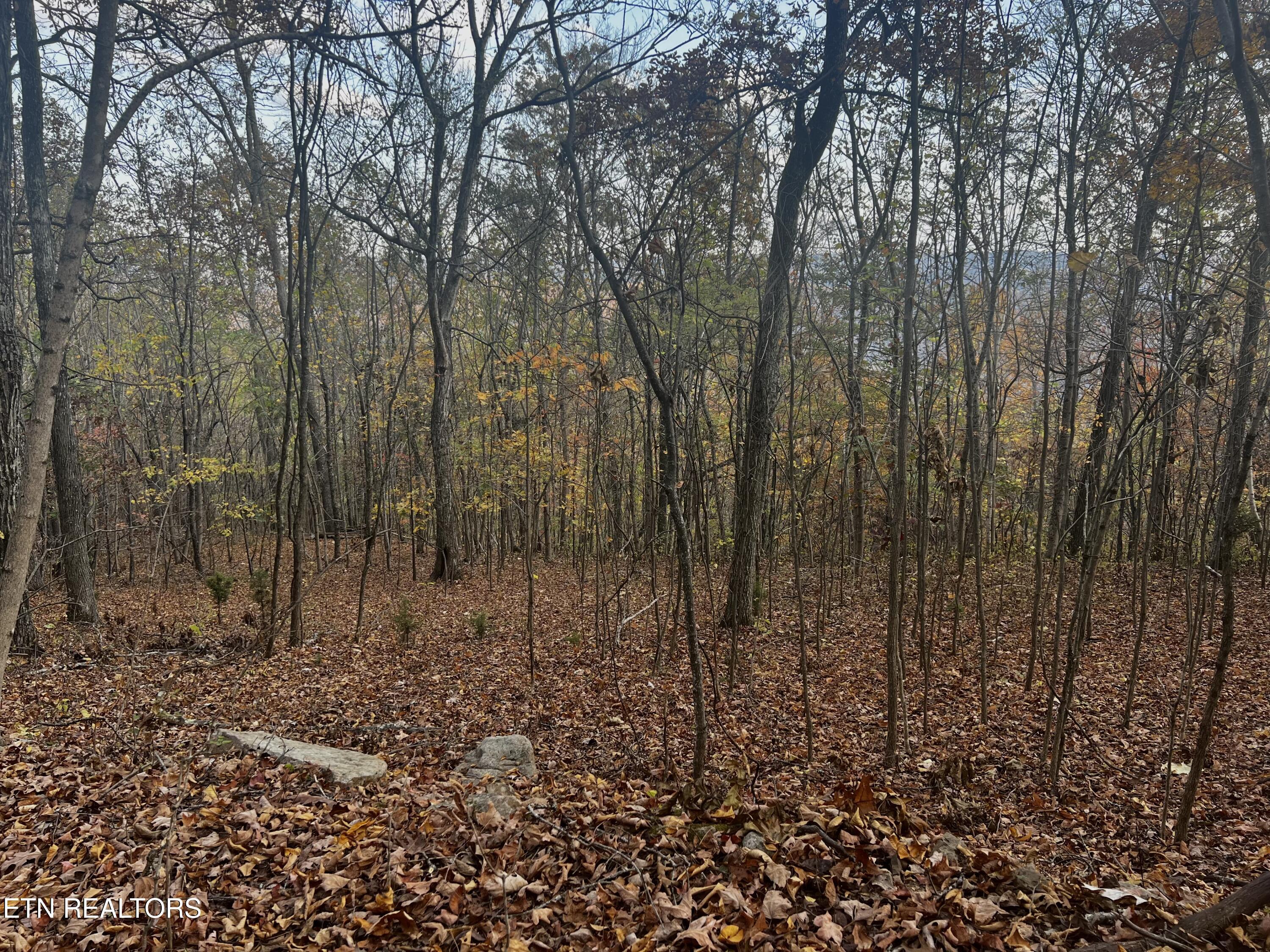 Lot 675 Chimney Rock Road, New Tazewell, TN - Norris Lake Real Estate - Image# 18