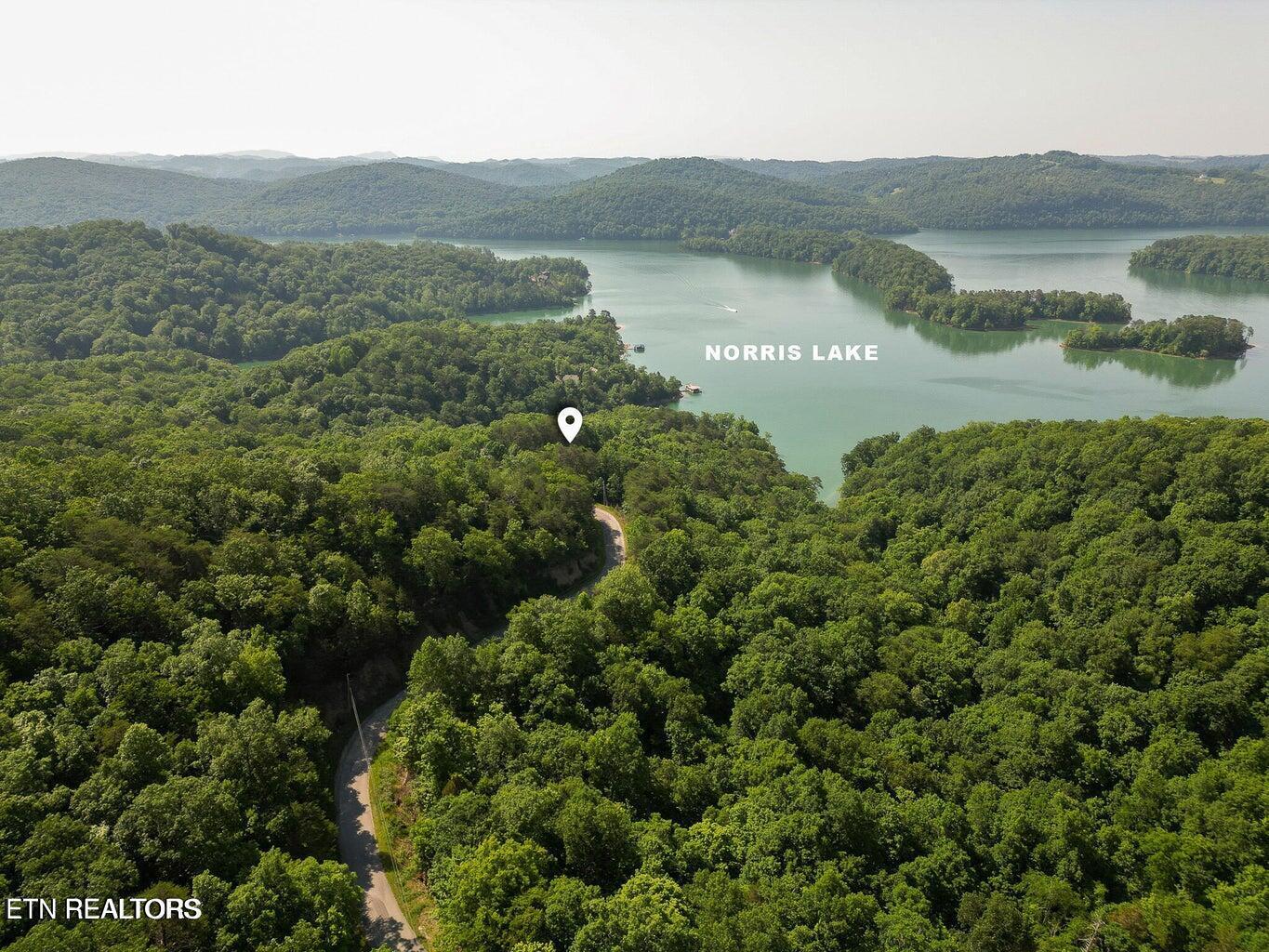 156 Lakeview Drive, Sharps Chapel, TN - Norris Lake Real Estate - Image# 3