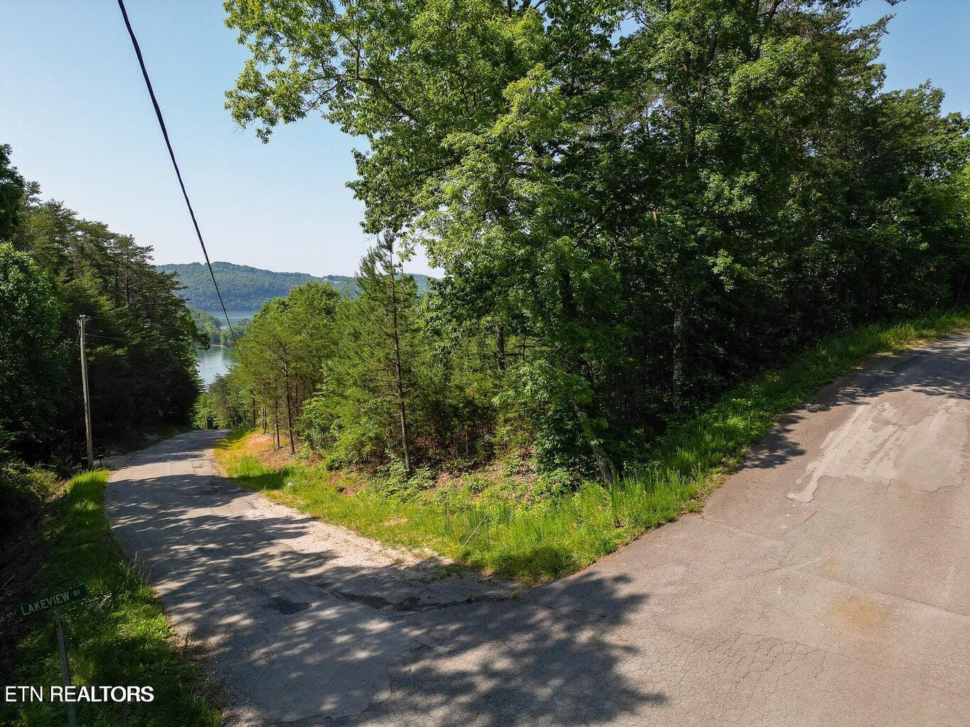 156 Lakeview Drive, Sharps Chapel, TN - Norris Lake Real Estate - Image# 6