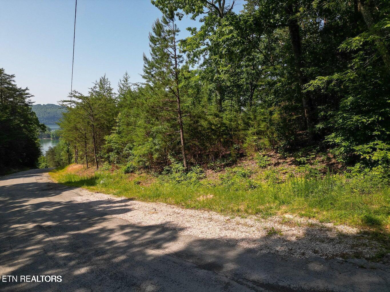 156 Lakeview Drive, Sharps Chapel, TN - Norris Lake Real Estate - Image# 7