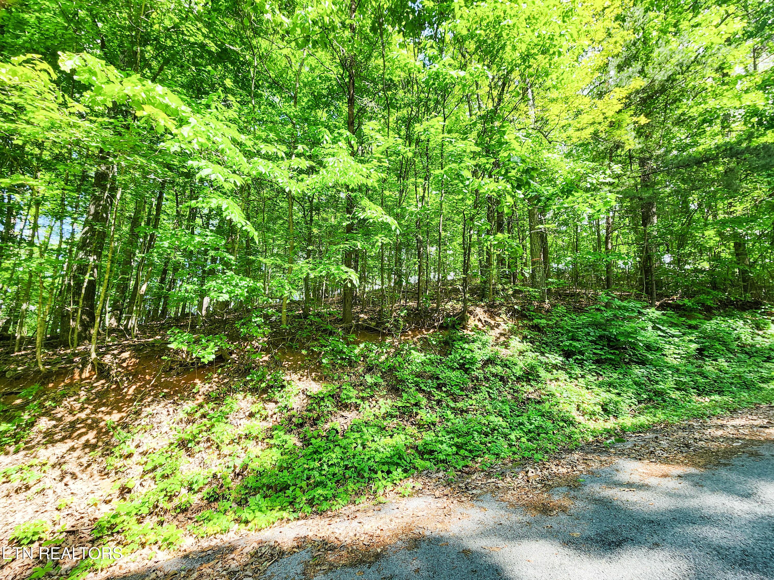 208 Sara Lane, Maynardville, TN - Norris Lake Real Estate - Image# 3