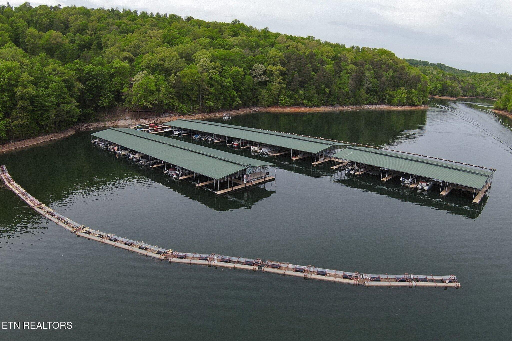 Norris Lake Real Estate - Image# 61