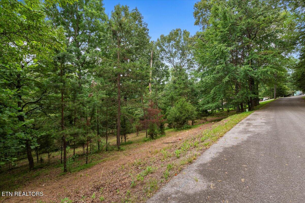46, 47, 48 Bucks and Doe Lane, Lafollette, TN - Norris Lake Real Estate - Image# 3
